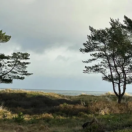 Architectural With Nature Plot On Bornholm Feriehus *