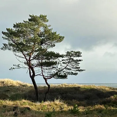 Feriehus Architectural With Nature Plot On Bornholm Neksø